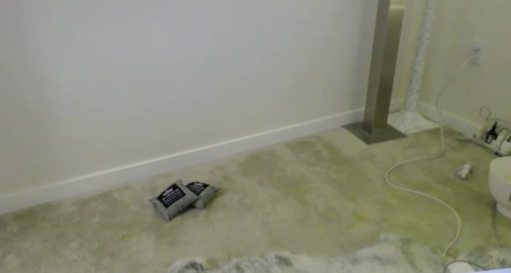 TheZoeyBeth video thumbnail