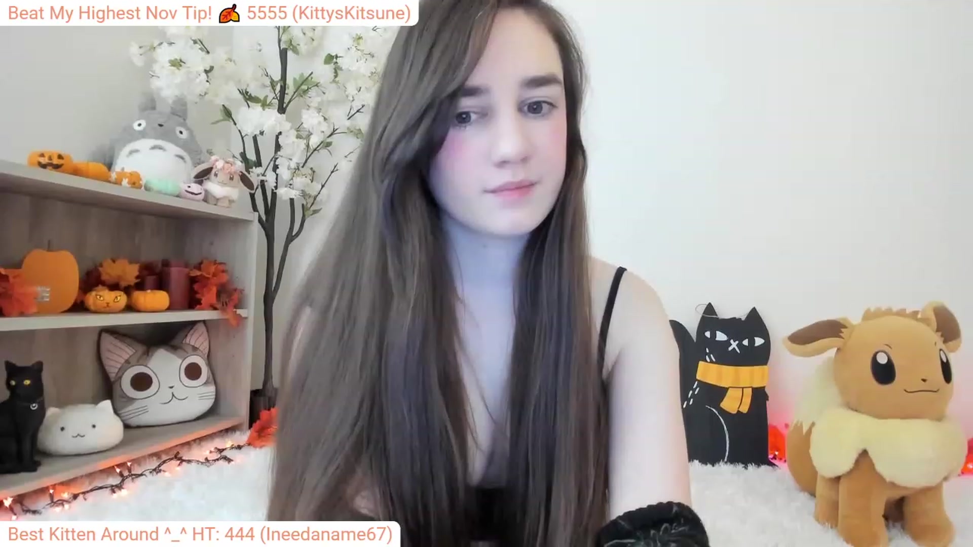 Kitty video thumbnail