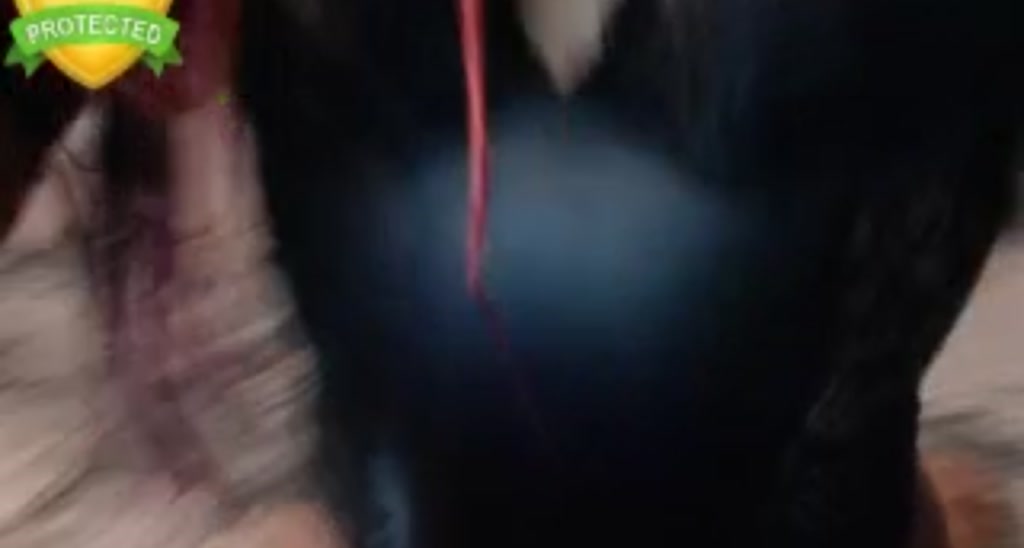 Ms_WetNWild video thumbnail