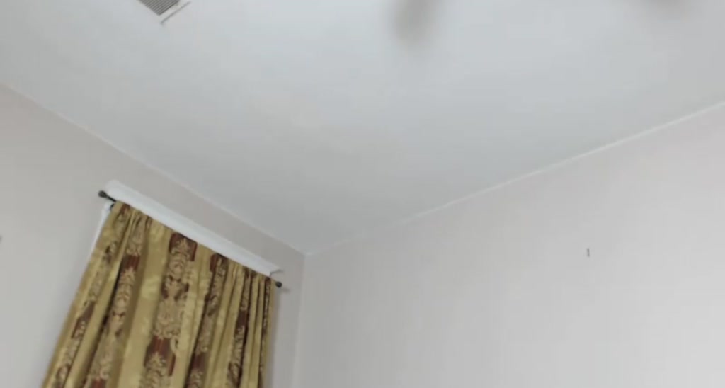 GoldenKittee video thumbnail