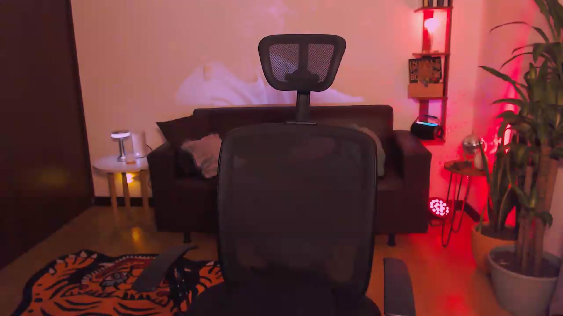AuroraBeckett video thumbnail