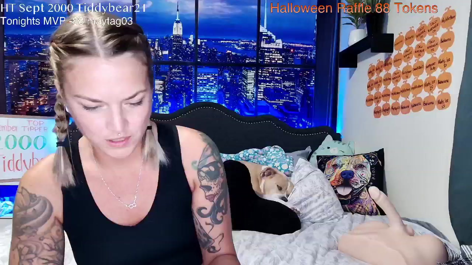 Rose_Kitten video thumbnail