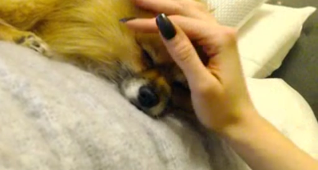 LondonRae video thumbnail