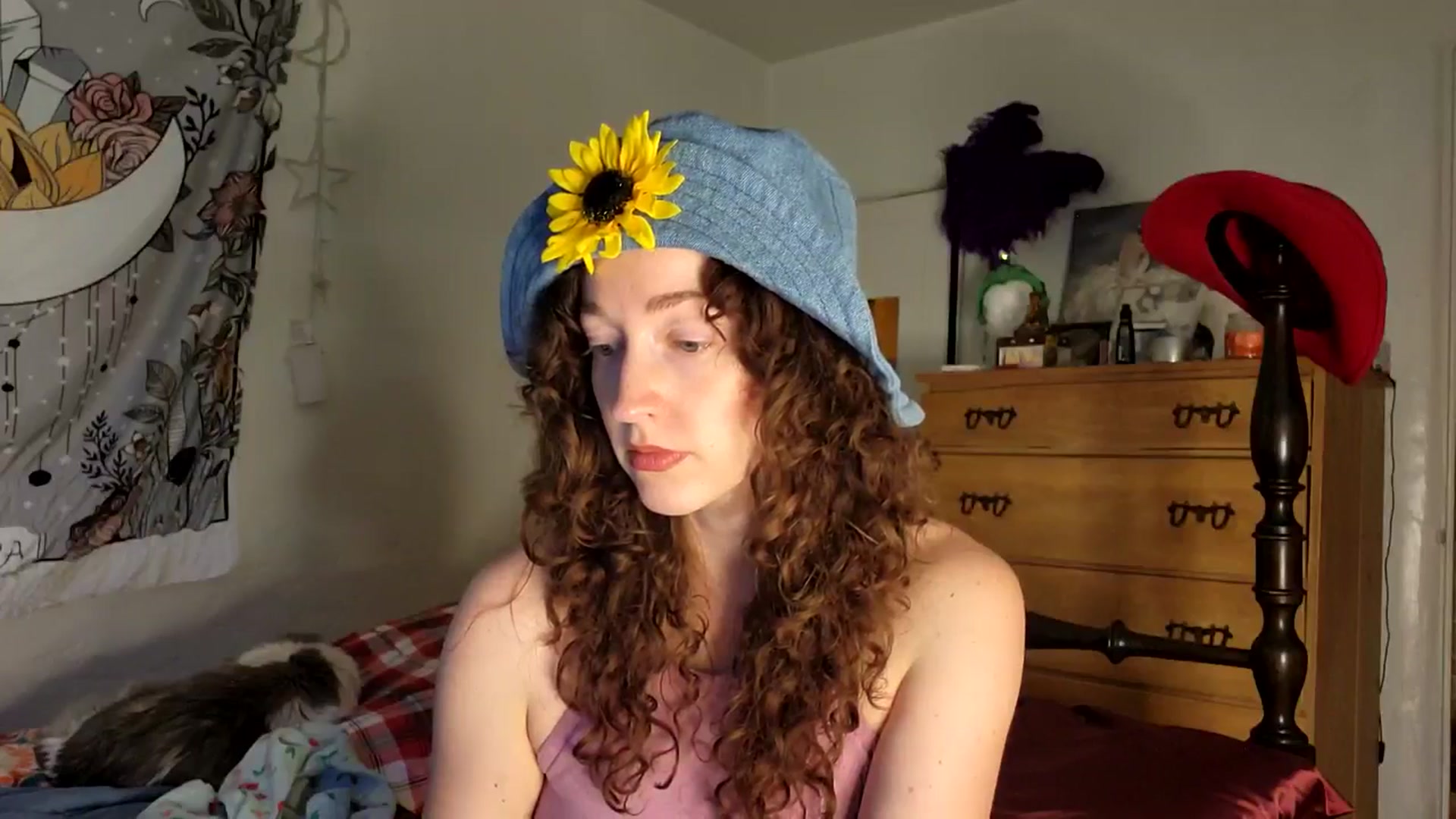 TrollopTaylor video thumbnail