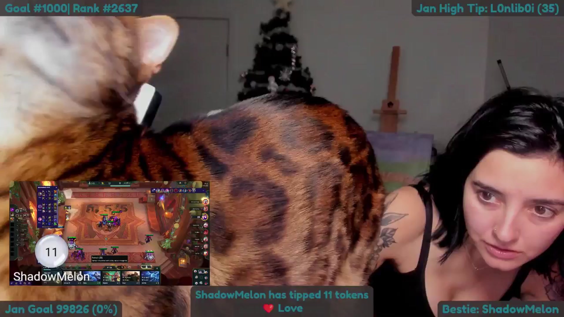 Melon video thumbnail