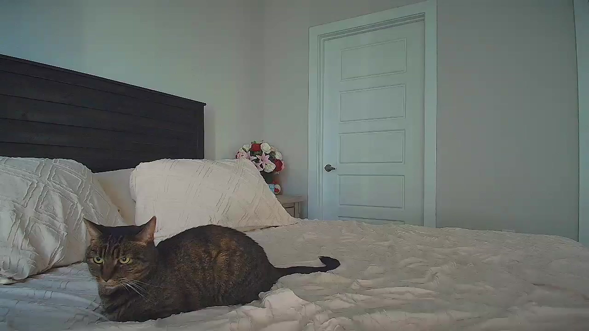 Sammy_gray video thumbnail
