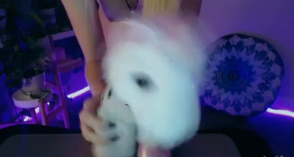 SweetDee video thumbnail