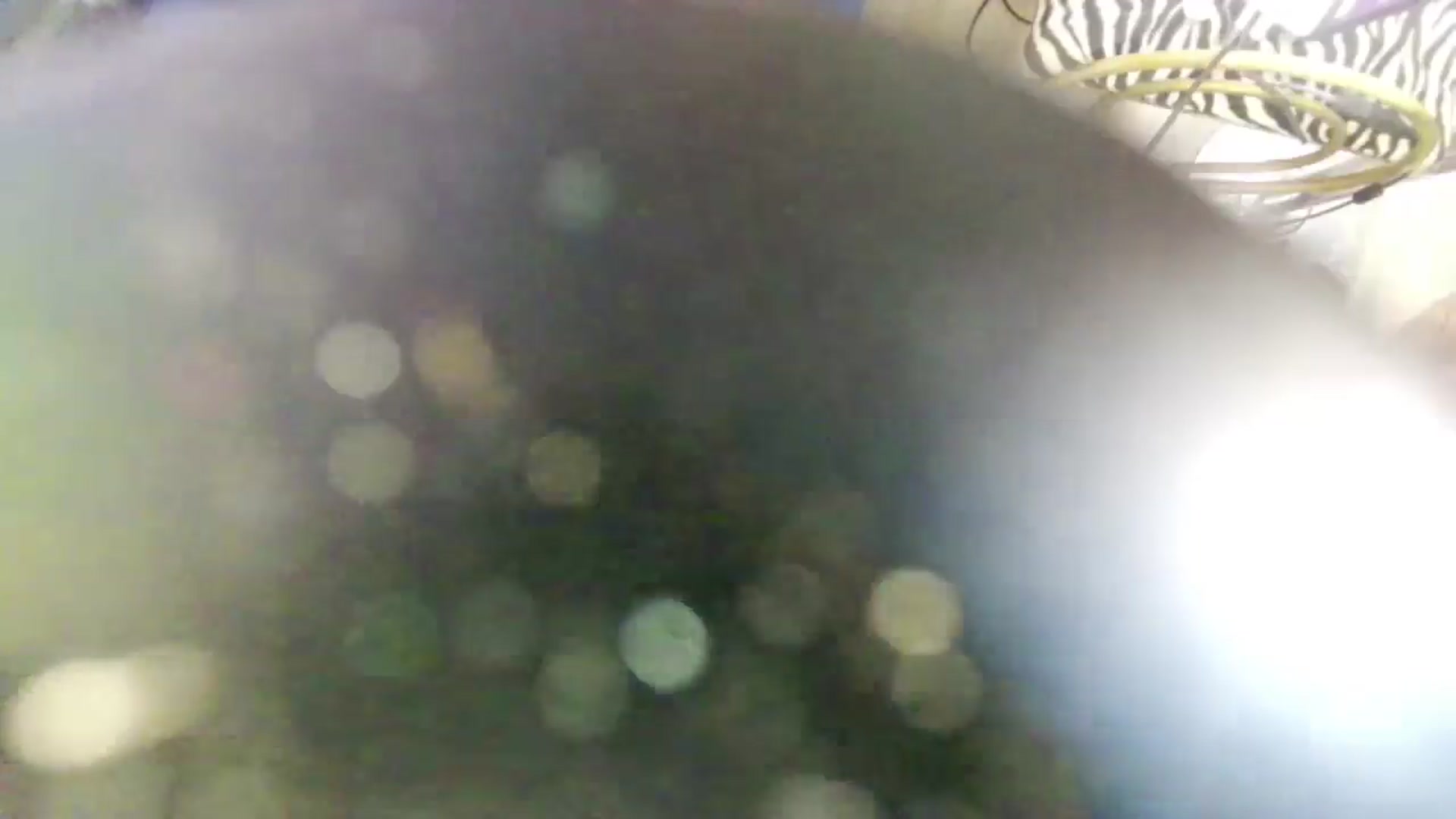 novakane6913 video thumbnail
