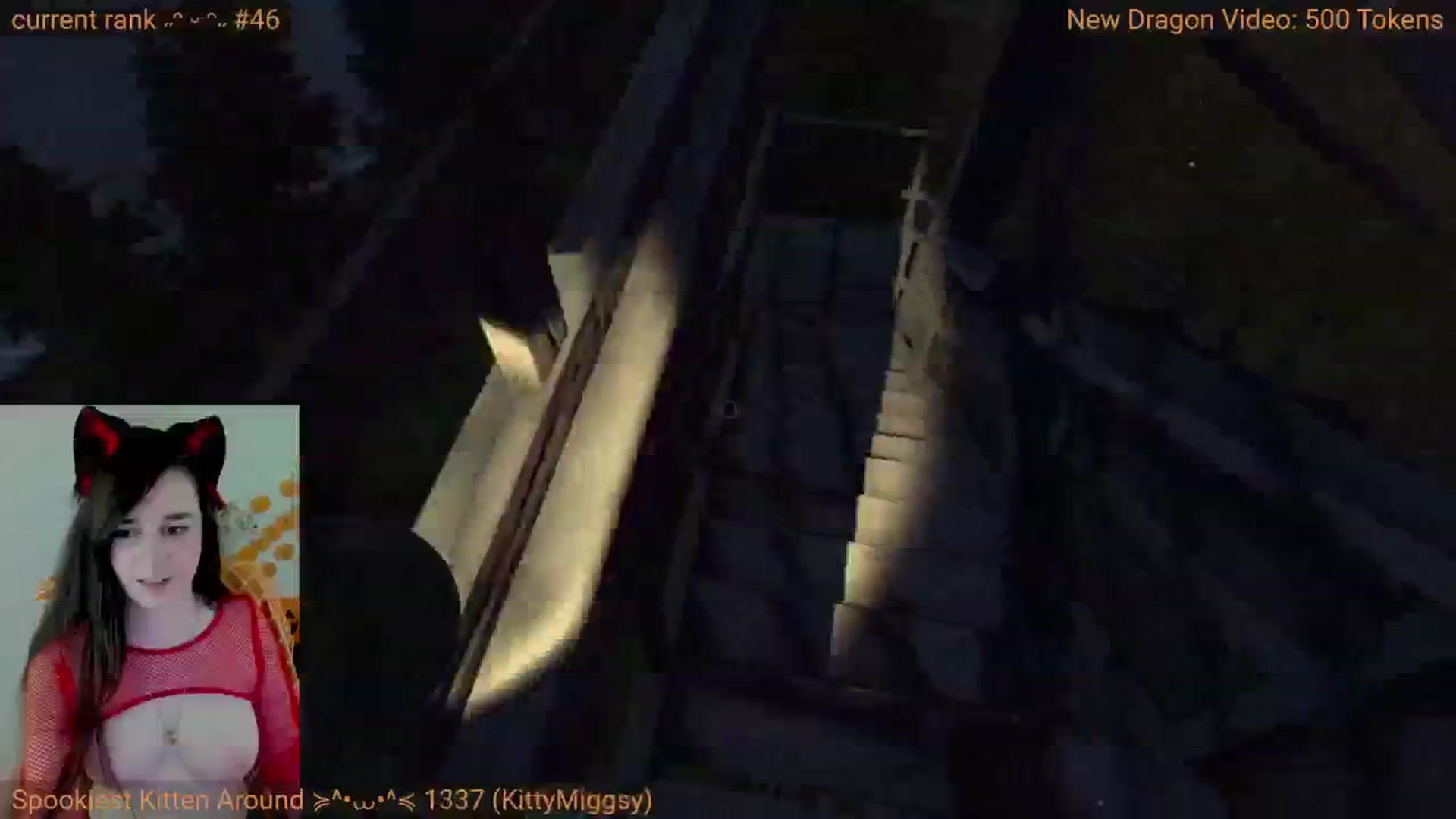 Kitty video thumbnail
