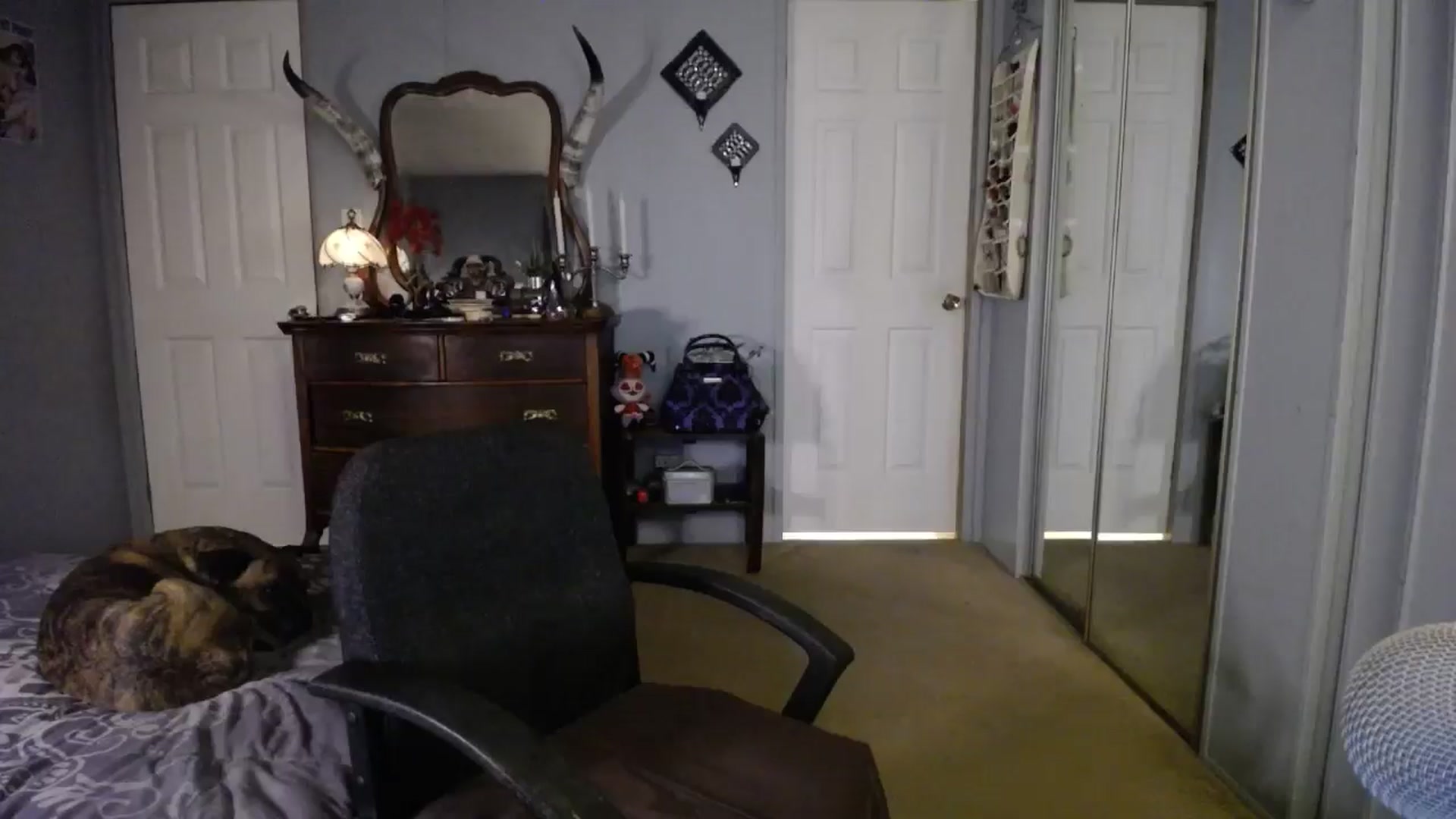 Classic_Daisy video thumbnail