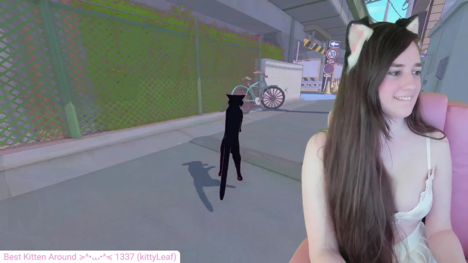 Kitty video thumbnail
