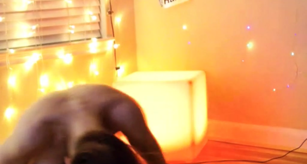 RocknRose video thumbnail