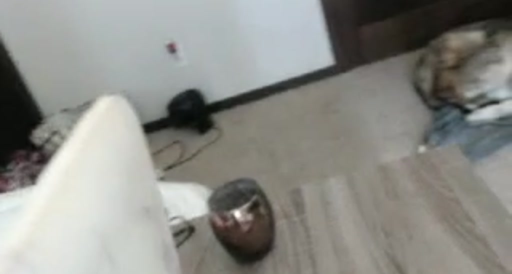 Kennedy video thumbnail