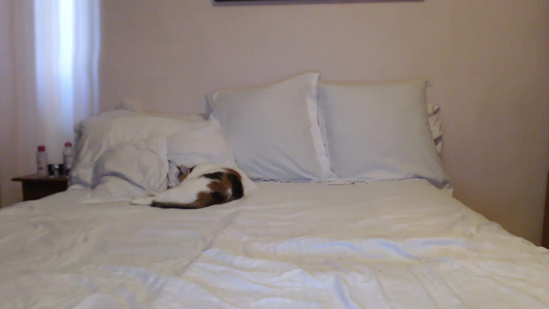 Aahh_Emilia video thumbnail