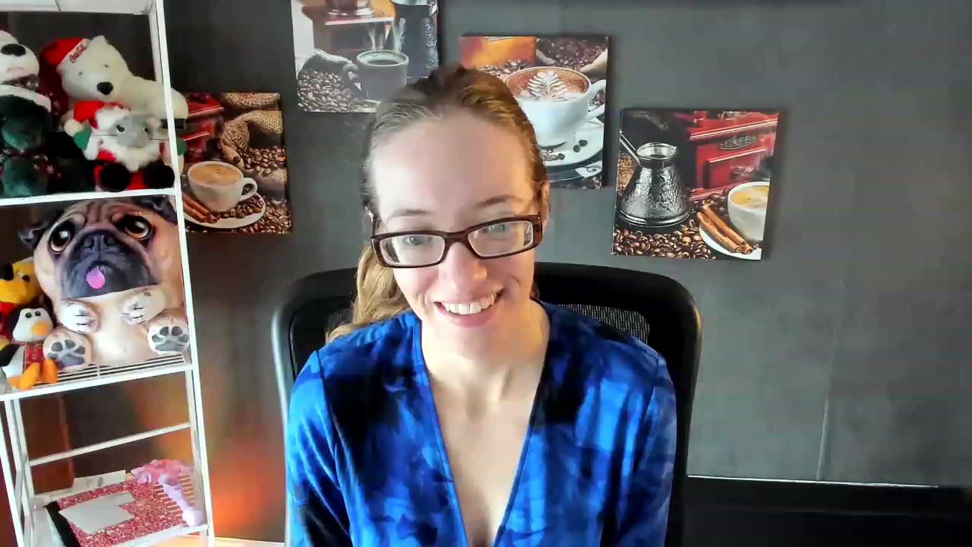 DocDropBear video thumbnail