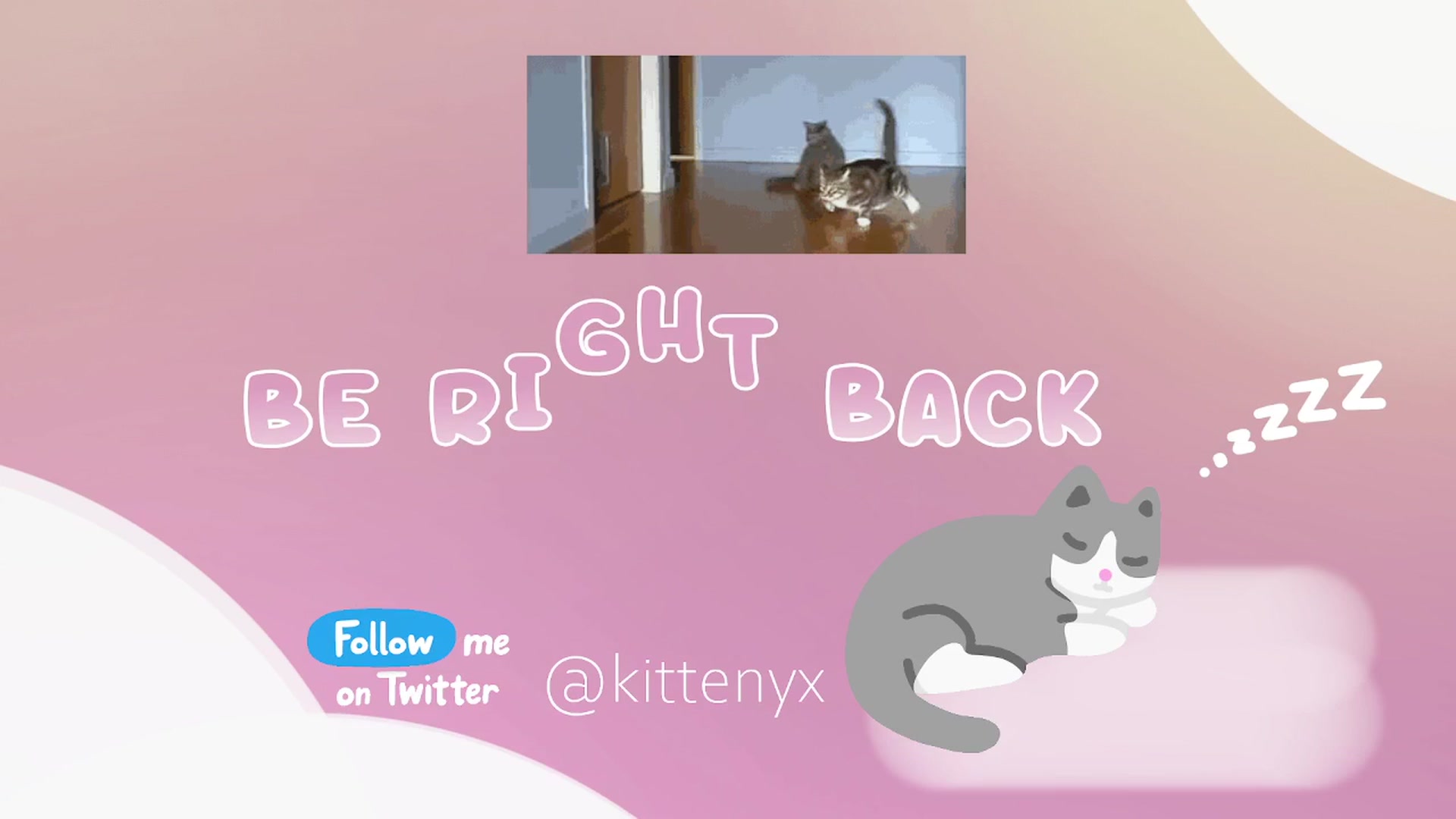 Kittenyx video thumbnail