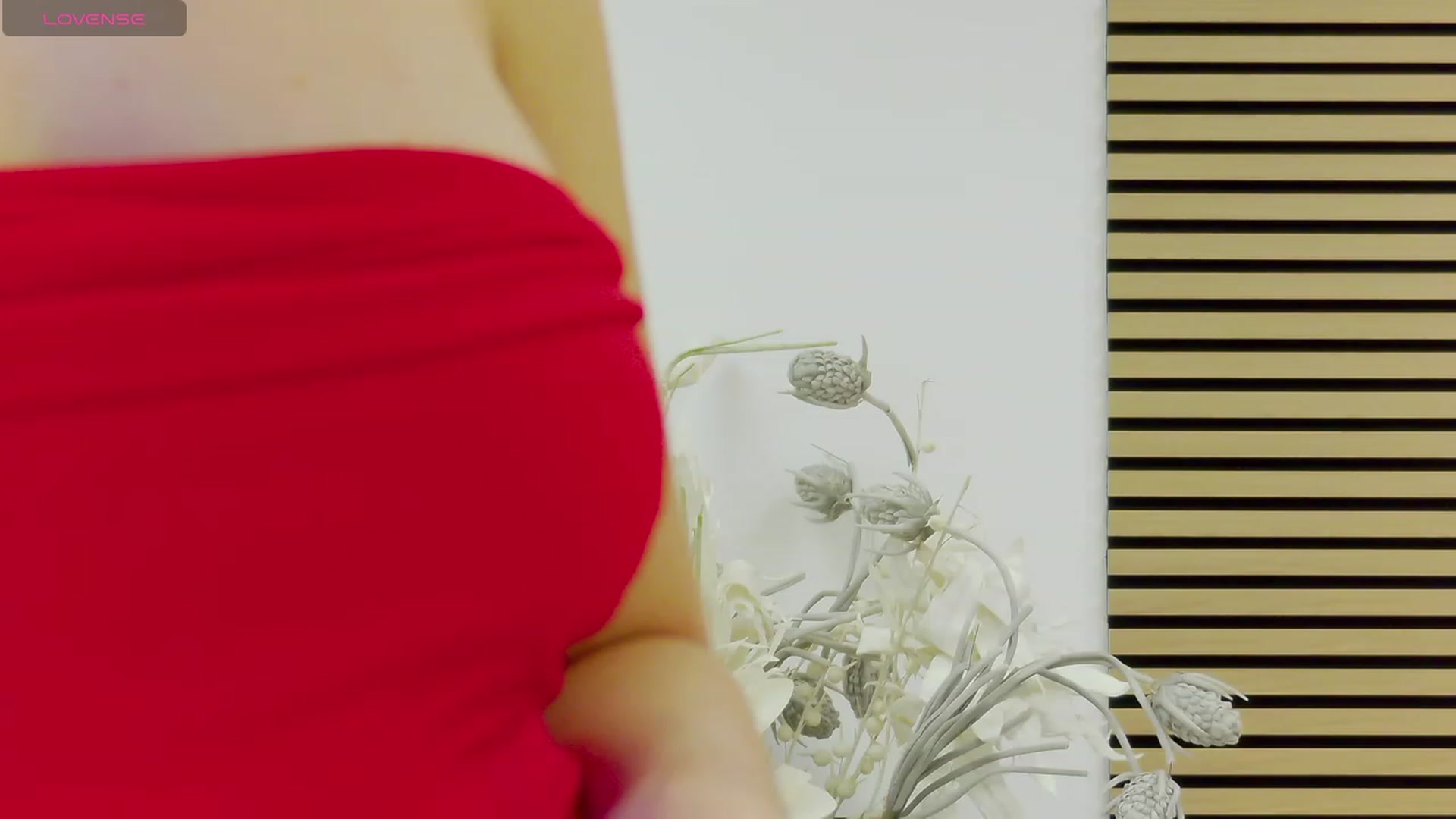Squirrel_MFC video thumbnail