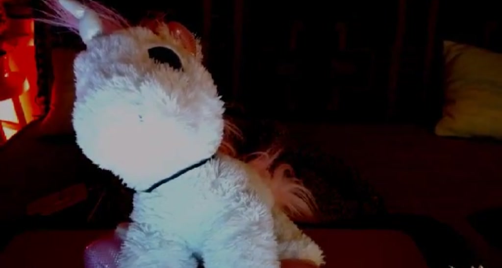 SweetDee video thumbnail
