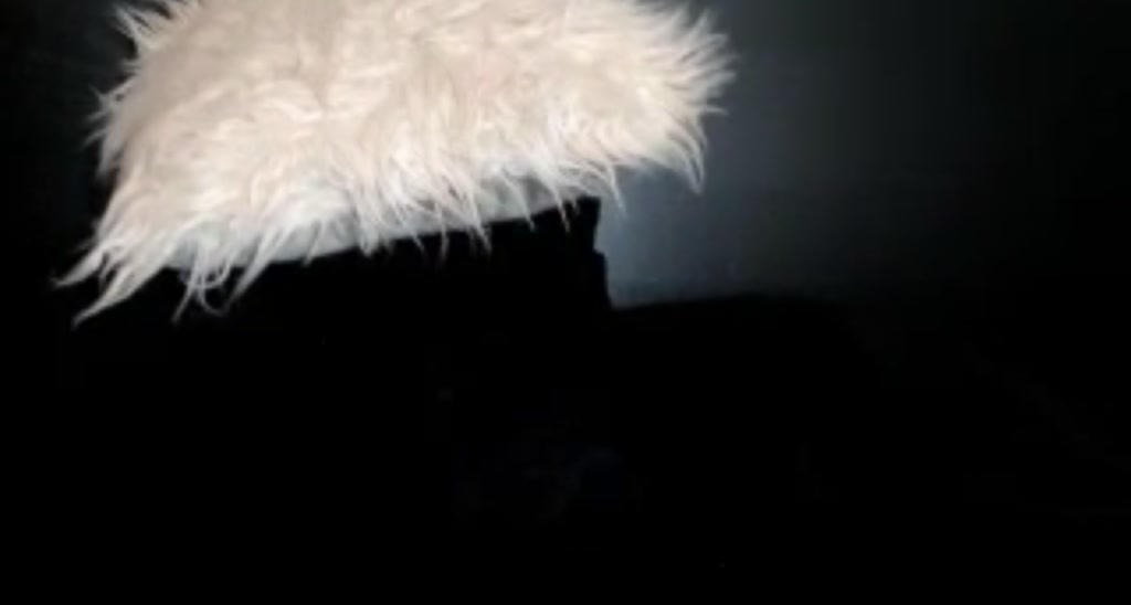 PetiteMarie video thumbnail