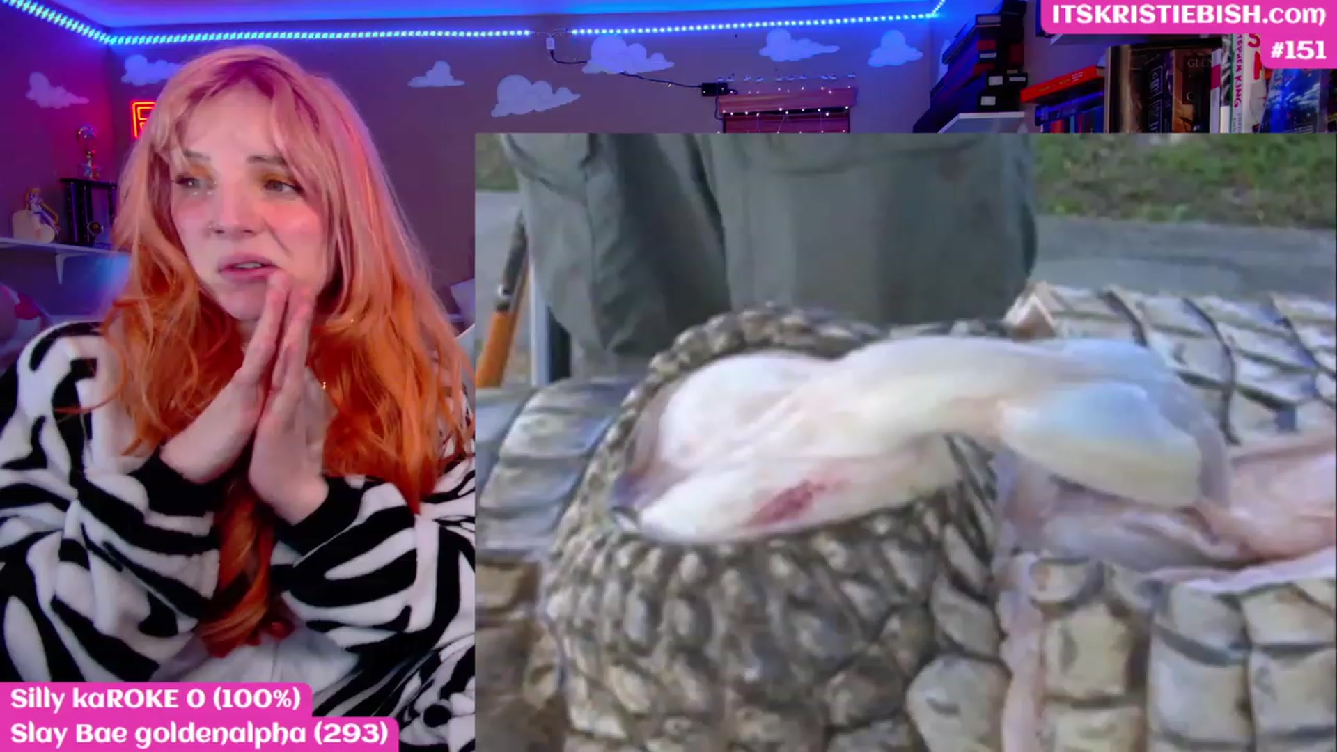 KristieBish video thumbnail