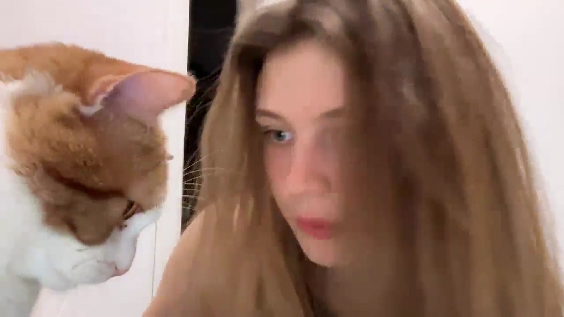 Coconut_dream video thumbnail