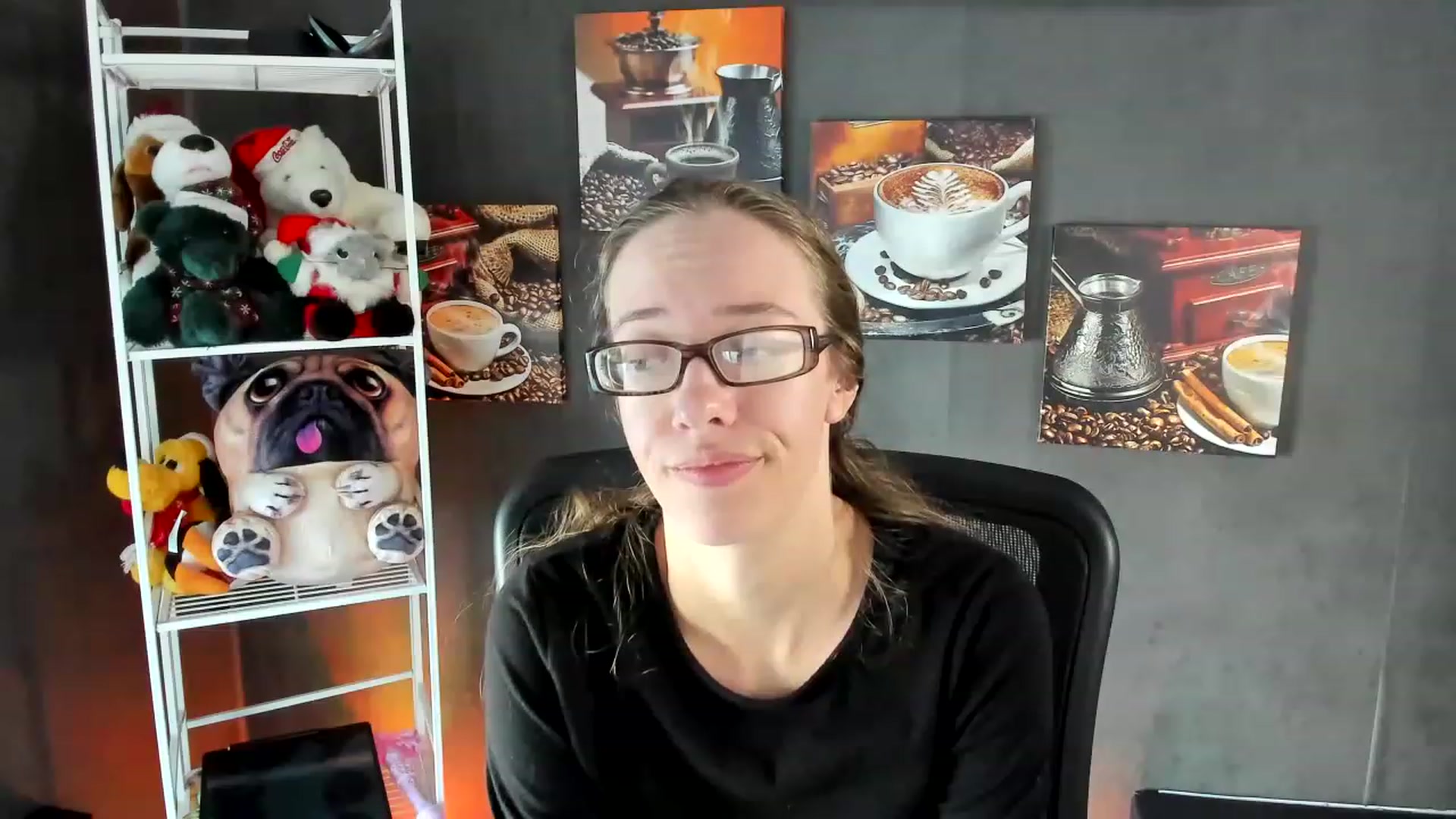DocDropBear video thumbnail