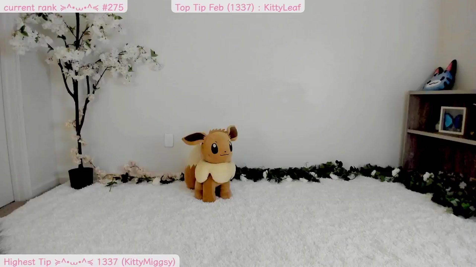 Kitty video thumbnail
