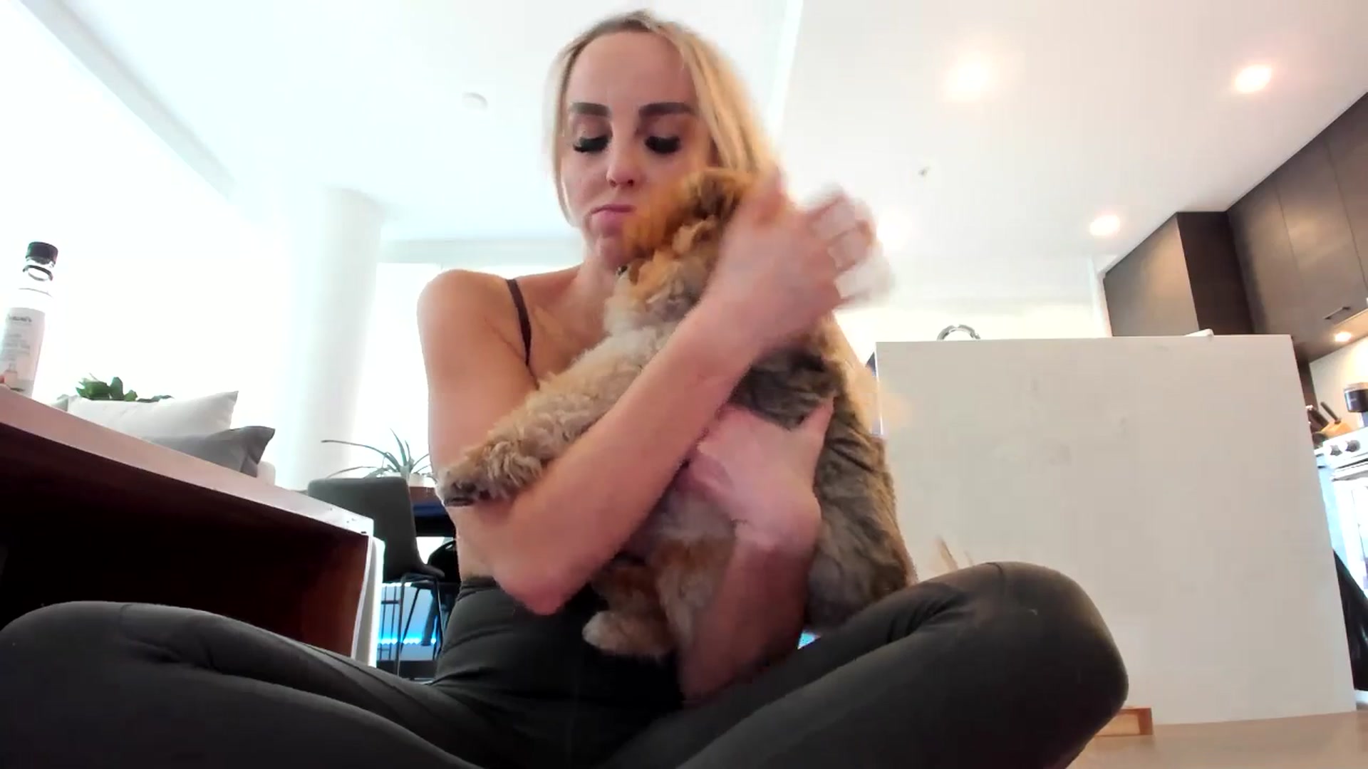 Mollyboots video thumbnail