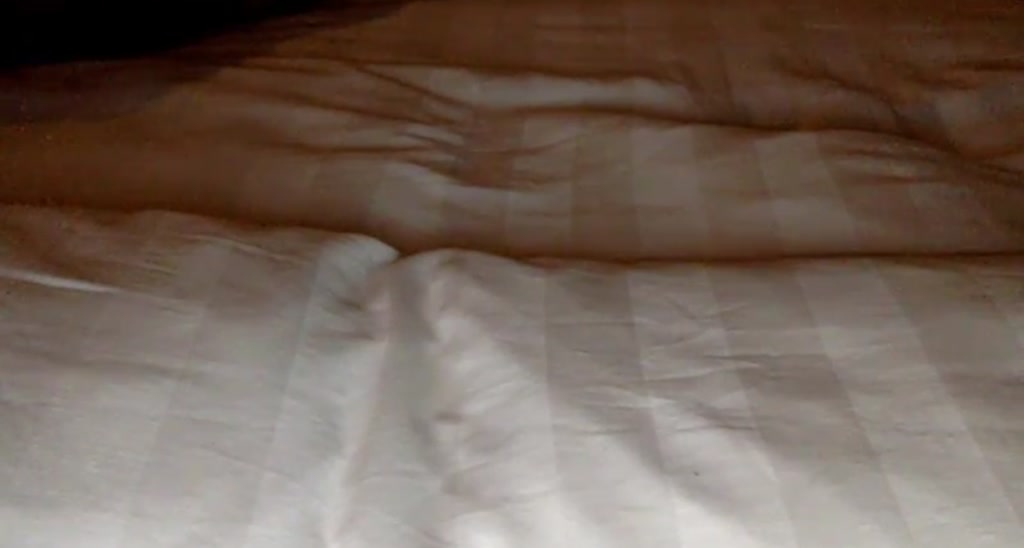 Kissofacobra video thumbnail
