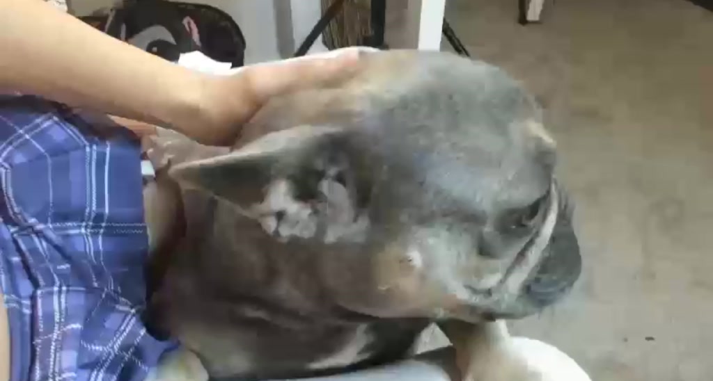 Marie_x video thumbnail