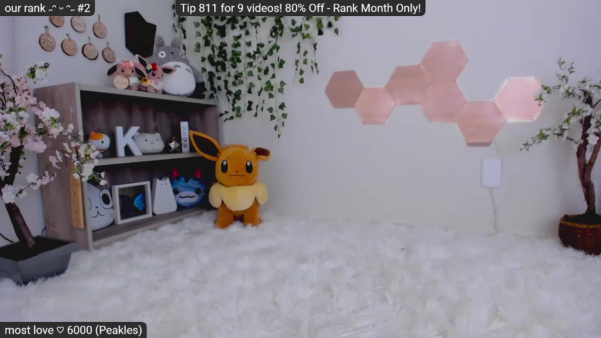 Kitty video thumbnail