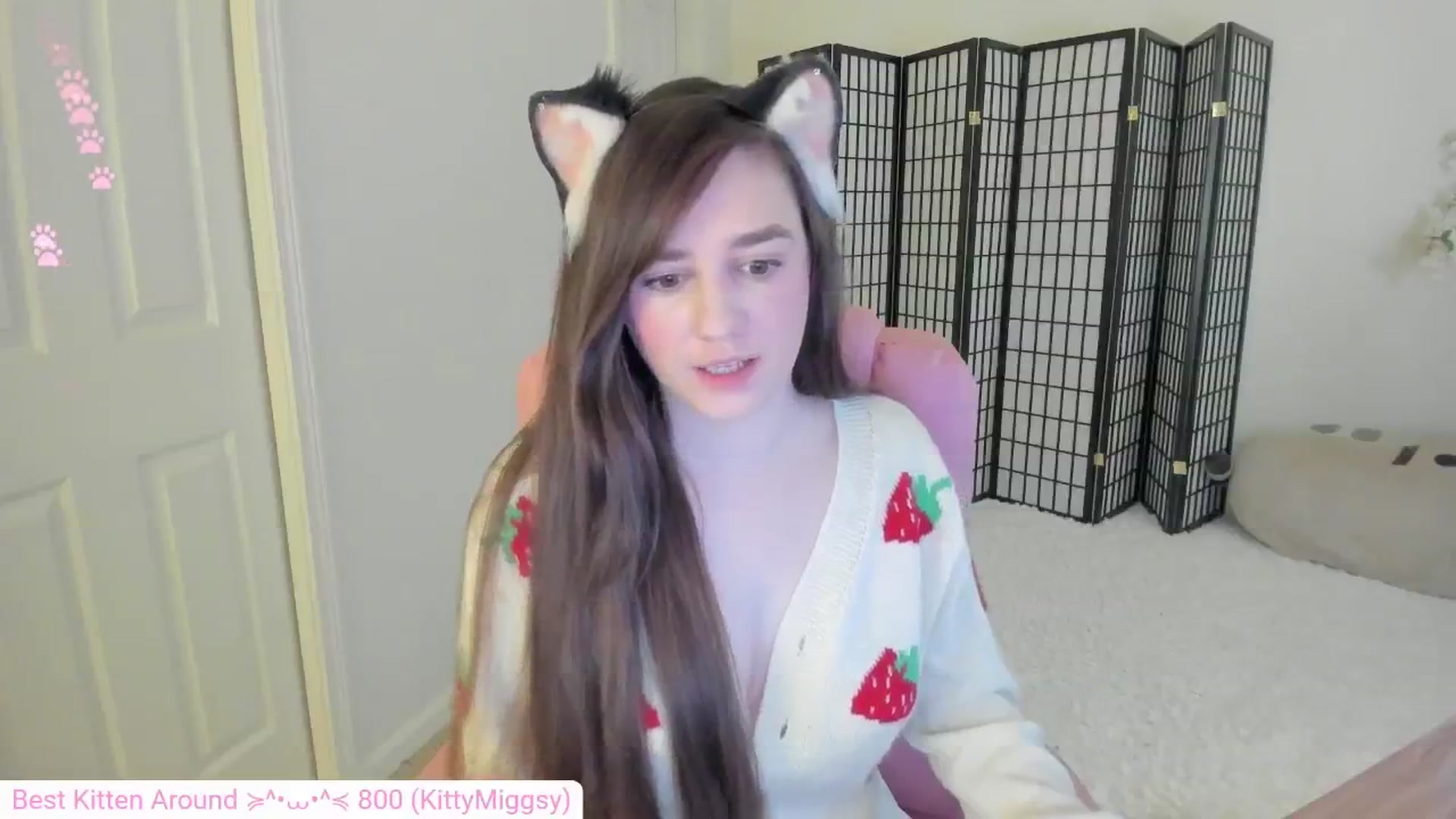 Kitty video thumbnail