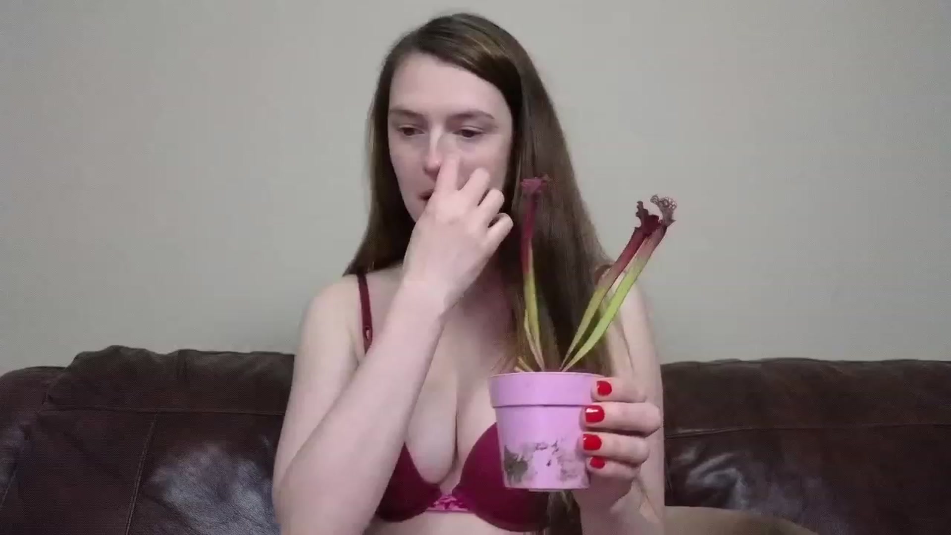 Ivorysunday video thumbnail