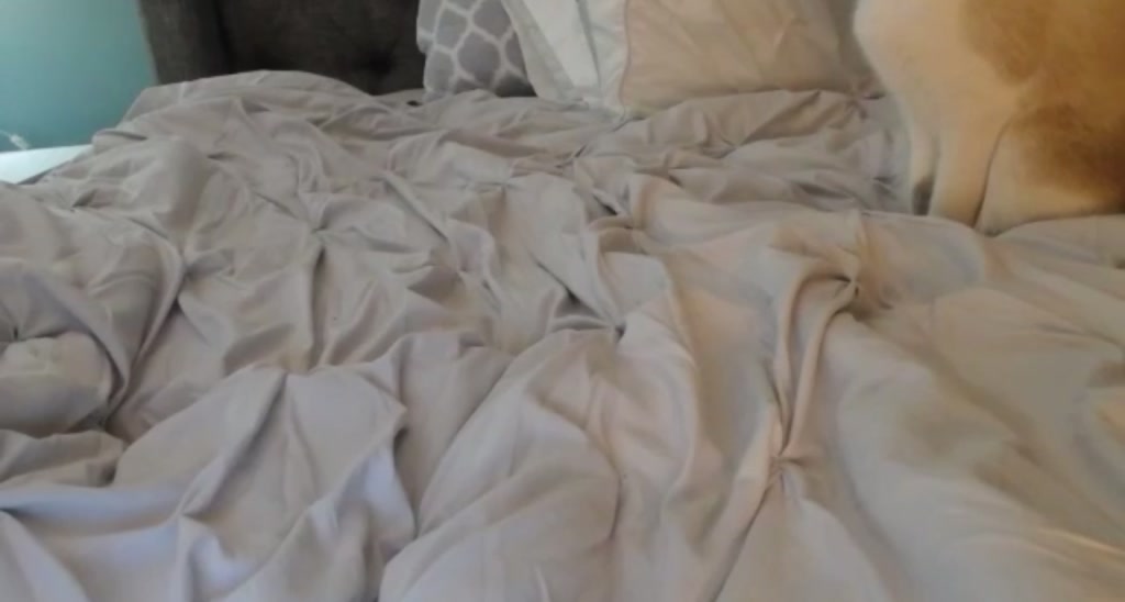MaddieSprings video thumbnail
