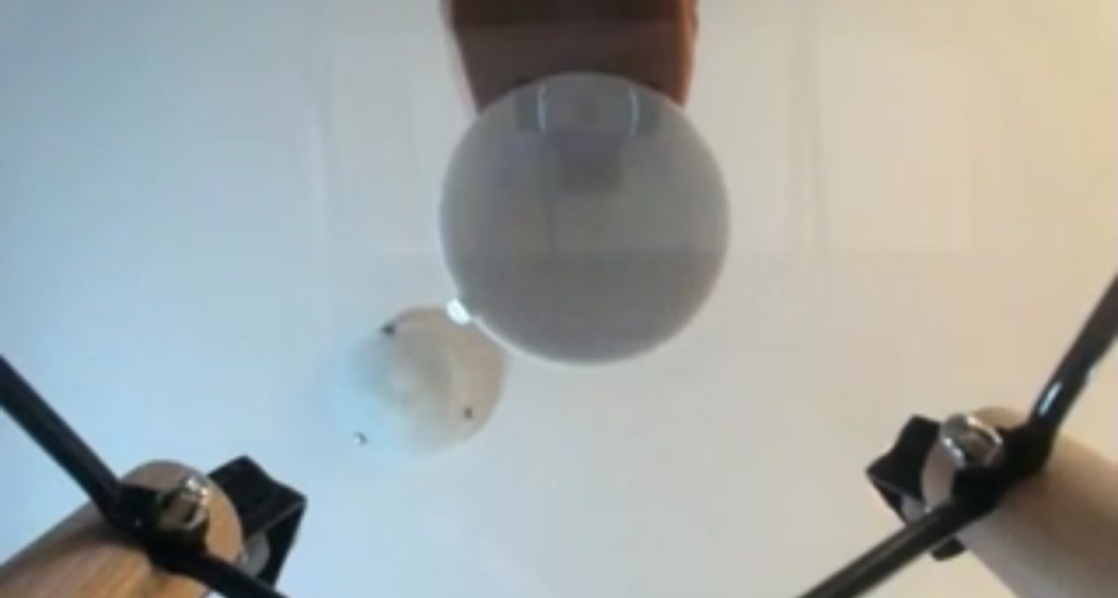 SammyWinters video thumbnail