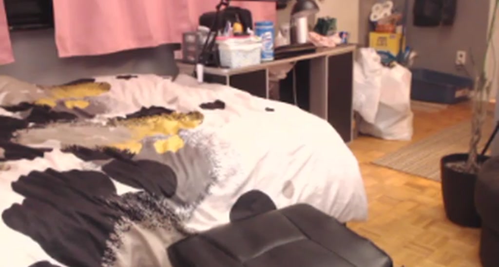BoootySTAR video thumbnail