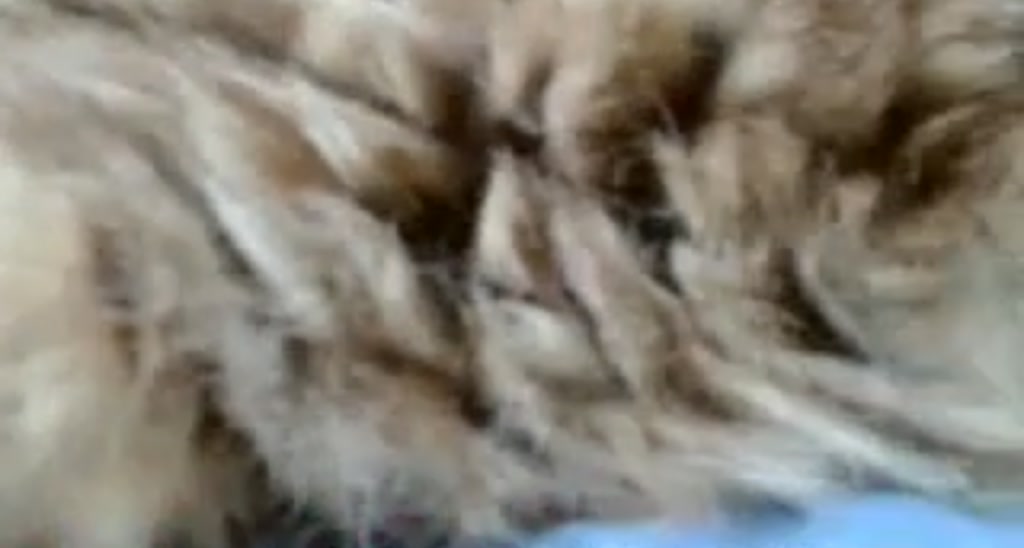 KissingHi video thumbnail