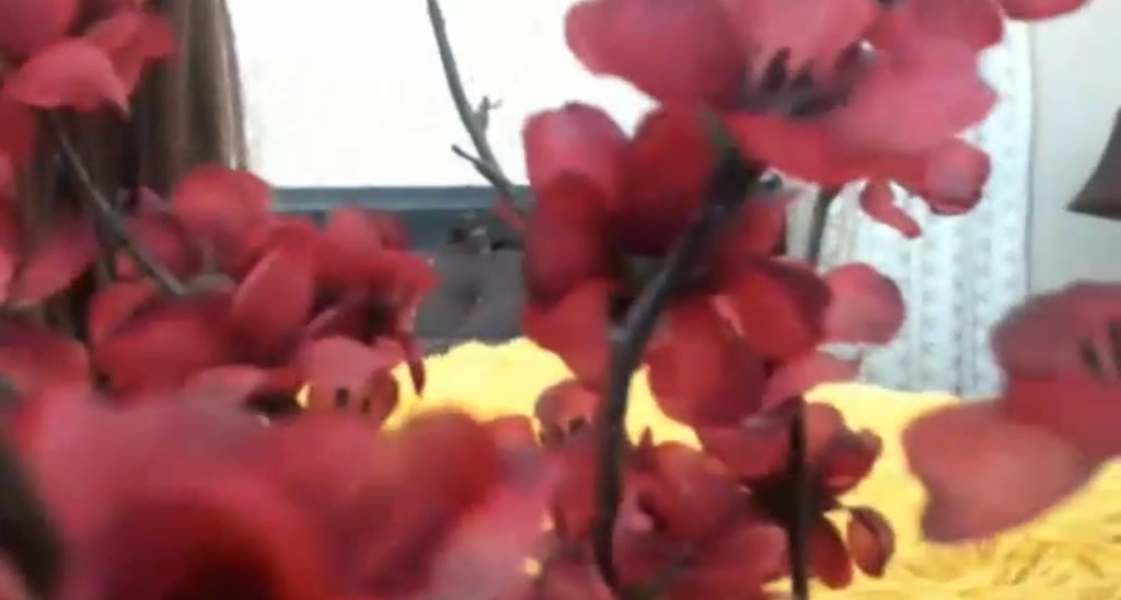 RubySparx video thumbnail