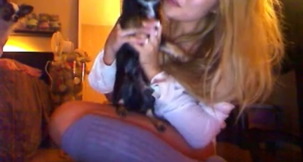 SwtSunny video thumbnail