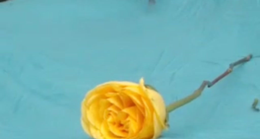Annysugar video thumbnail