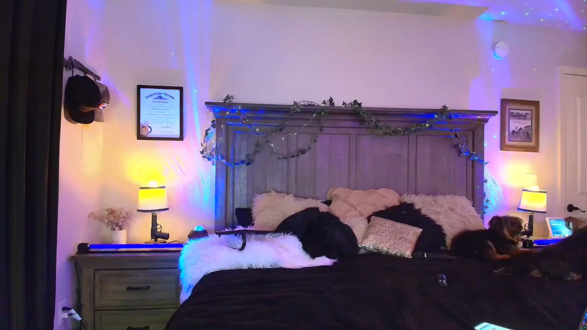 PoleBunnyXxx video thumbnail