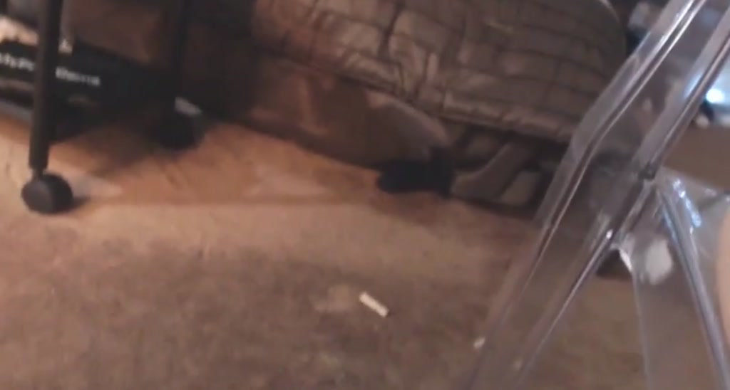CosmicNeko video thumbnail