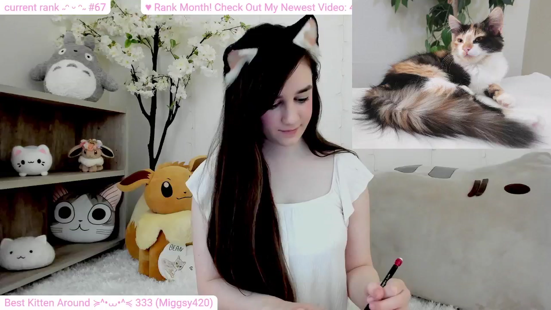Kitty video thumbnail