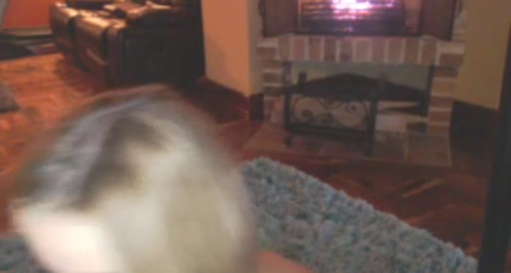 Kimtylor_ video thumbnail