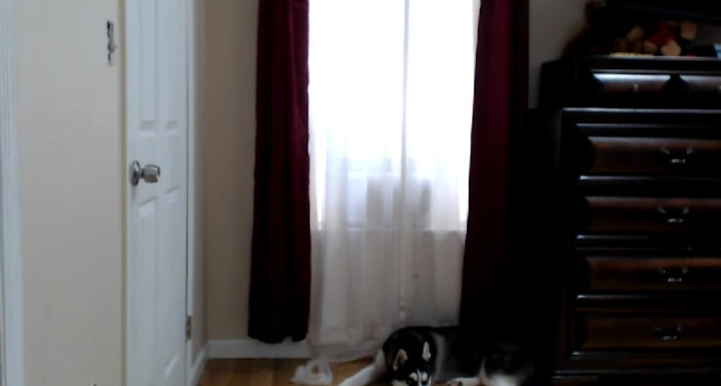 StaceyRyder video thumbnail