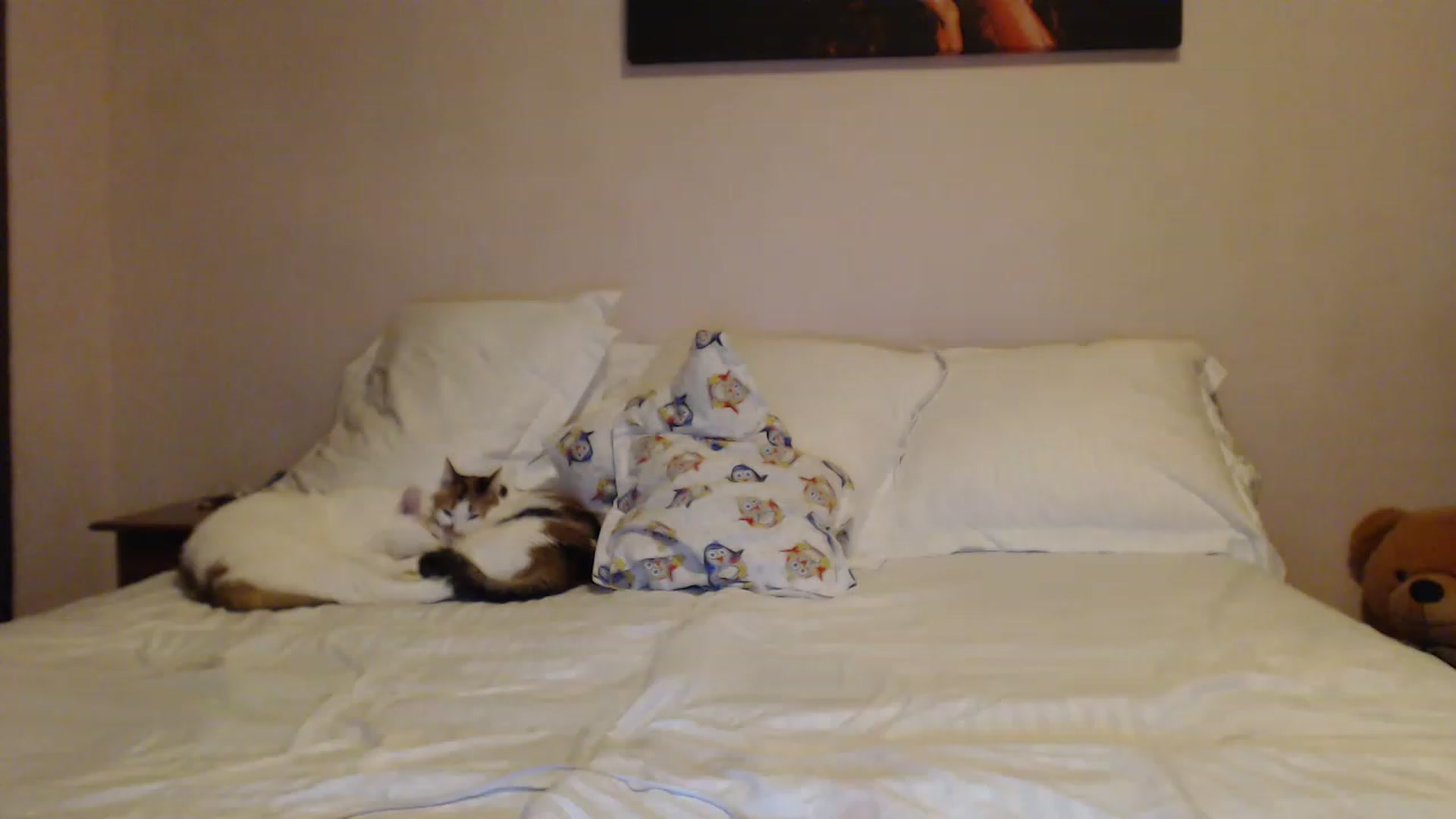 Aahh_Emilia video thumbnail