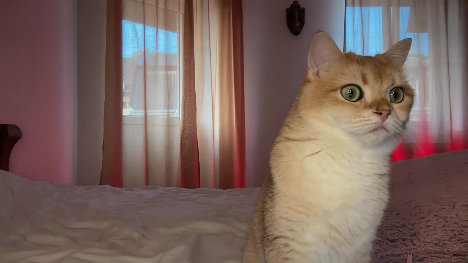 UGLYGIRL_ video thumbnail