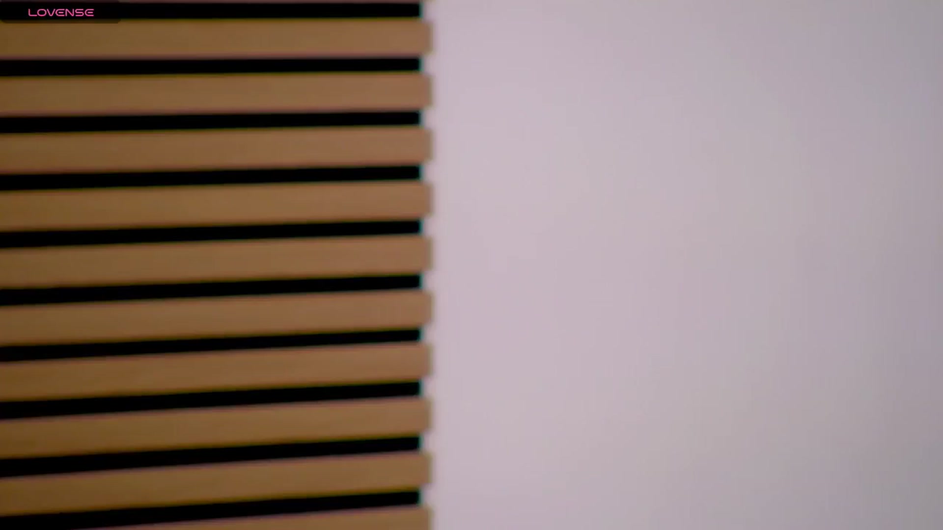 Squirrel_MFC video thumbnail