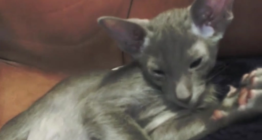 HurricaneKat_ video thumbnail