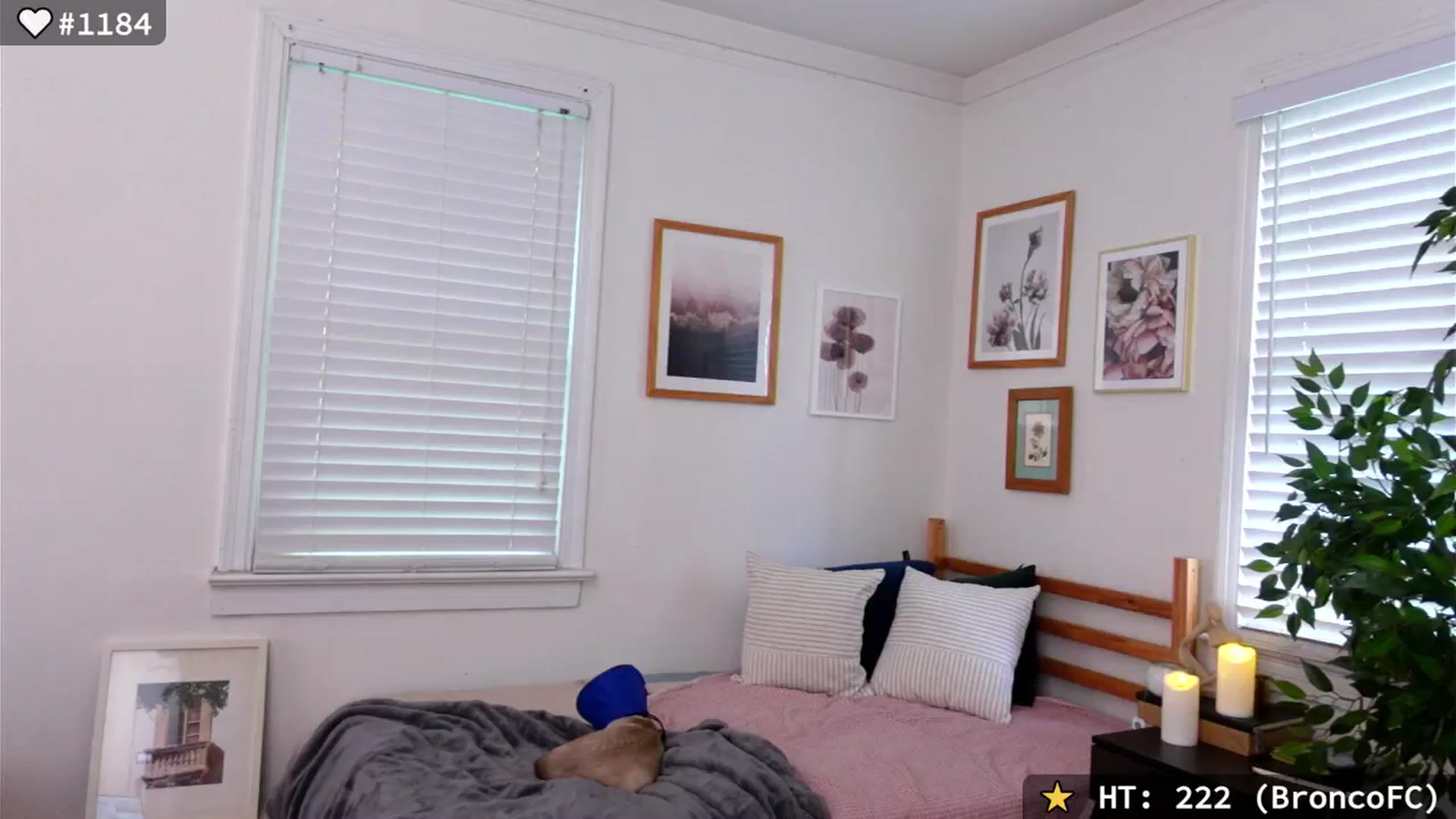 el_xo video thumbnail